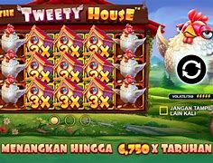 The Tweety House Slot Hari Ini Live Result Online Today